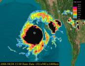 The Rainfall Rate of Tropical Cyclone Mala, from FY-2 data